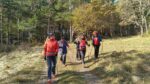 2016-11-13 Nordic Walking Slive Pot - Grize - Veliko Polje - Tabor F (2)