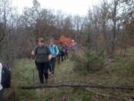 2014-11-15 Nordic Walking Monte Sambuco (2)