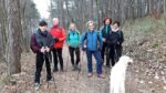 2015-11-30 Nordic Walking - Monte Cocusso (5)