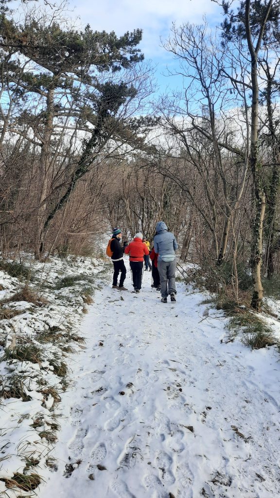 2026-01-07 Banne: Inverno a Trieste
