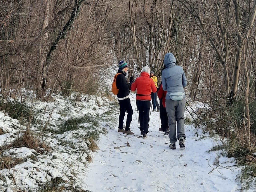 2026-02-01 07 Inverno a Trieste - Banne