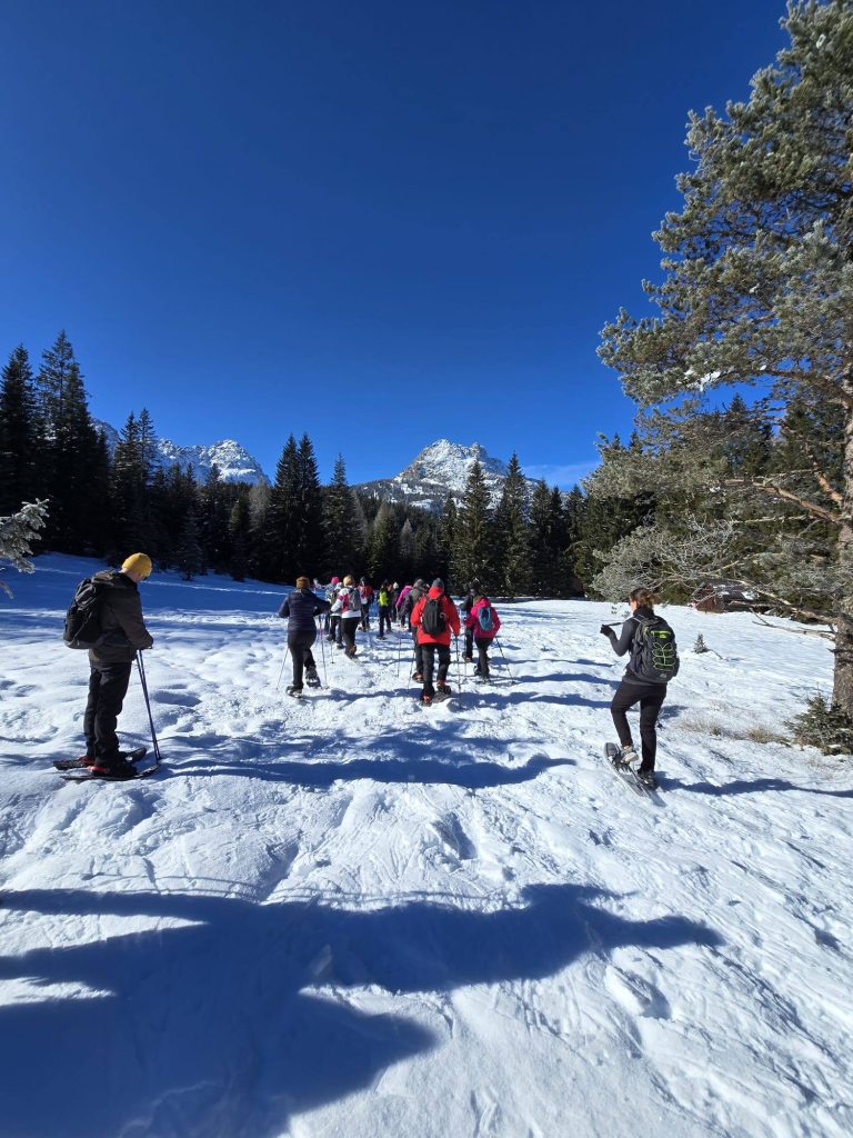 2026-02-01 Winter Nordic Walking Sappada (UD)