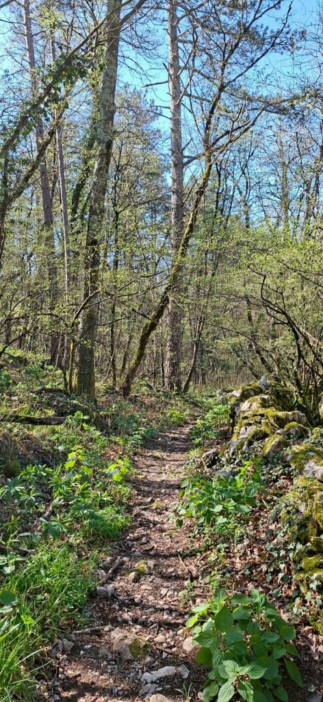 2026-04-08 Da Grozzana a Basovizza (TS)