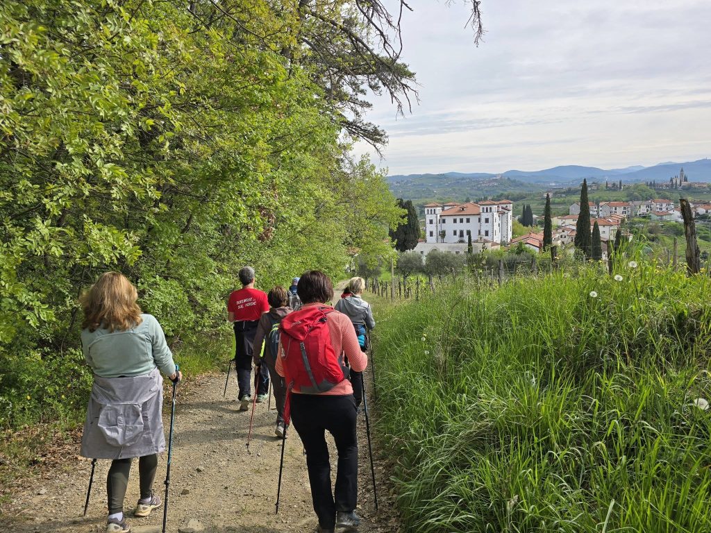 2026-04-11 Il sentieri dei ciliegi sul Collio Sloveno Brda (SLO)