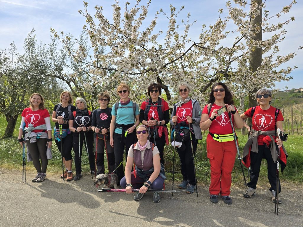 2026-04-11 Il sentieri dei ciliegi sul Collio Sloveno Brda (SLO)