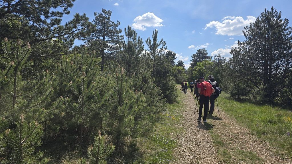 2026-04-18 Monte Cocusso-Kokoš (TS)