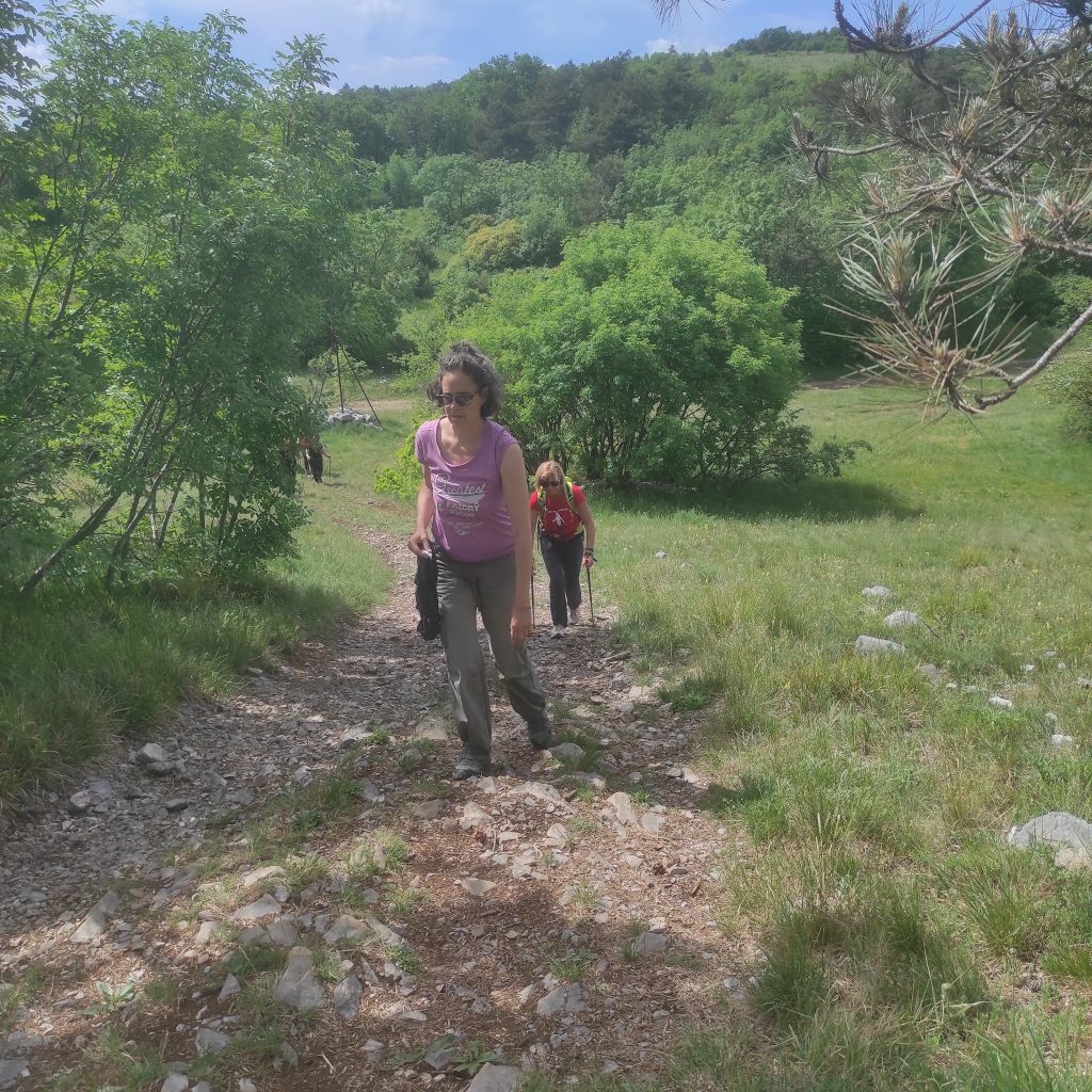 2026-05-08 Lukovec (SLO)