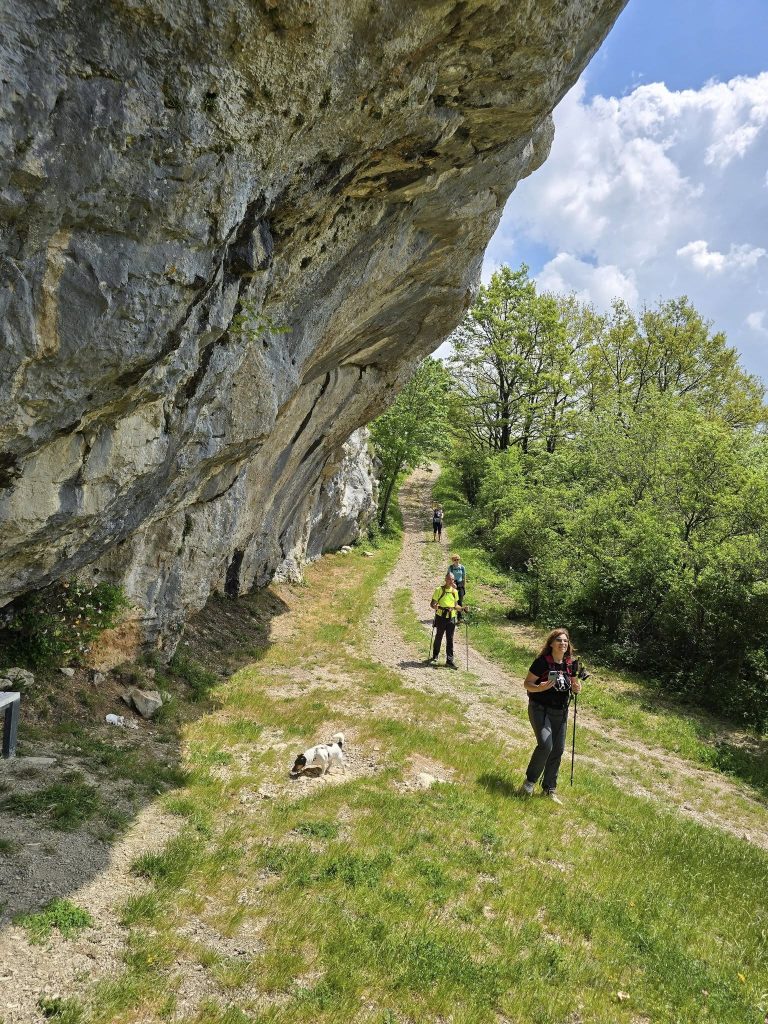 2026-05-09 Rakitovec (SLO) – Sentiero dei Narcisi