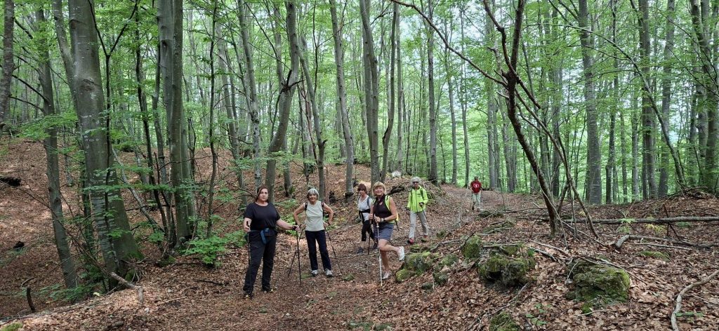 2026-06-06 Monte Ostrič o Zabnik - Ciceria (SLO)